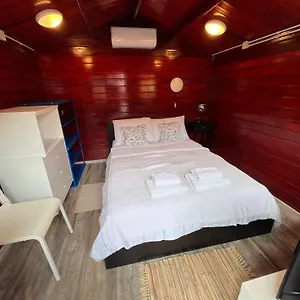 Apartman And Dalibor, Nin
